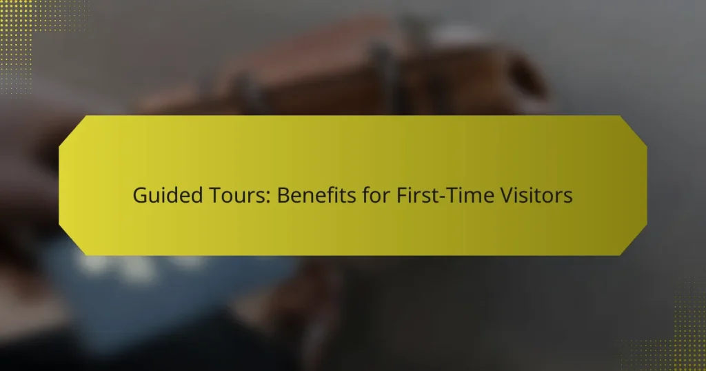Guided Tours: Benefits for First-Time Visitors