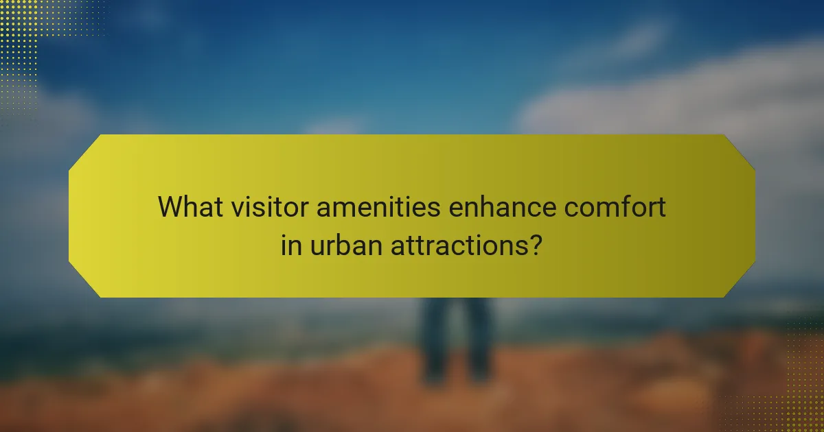 What visitor amenities enhance comfort in urban attractions?